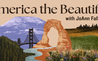 Nashville Symphony at the Schermerhorn Symphony Center to see America the Beautiful with JoAnn Falletta